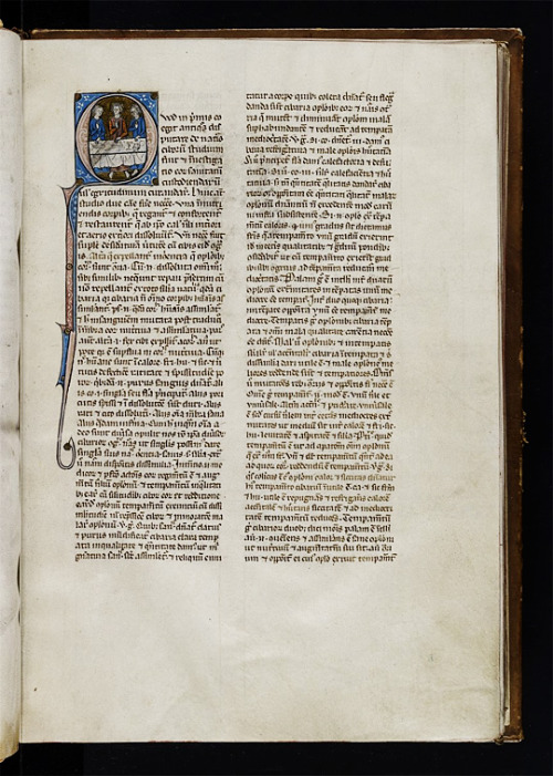 LJS 24 is a medical miscellany and many of the initials, as we’ve posted before, feature Domin