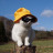 drama-loving-llama:  after watching Avengers Endgame: