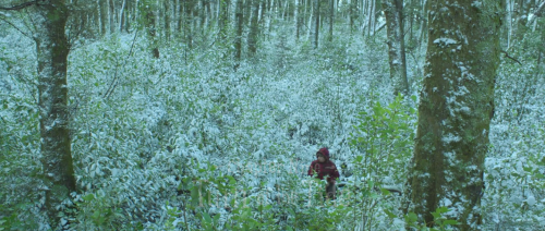 hirxeth: “Me and this fat kid / We ran we ate and read books / And it was the best.”Hunt for the Wilderpeople (2016) dir. Taika Waititi