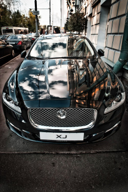 automotivated:  Jaguar Set (by Fedor Shmidt) 