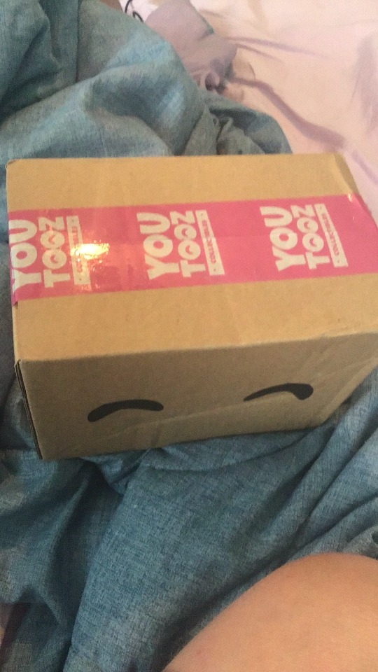 It Came, My Tubbo Youtooz Is Here