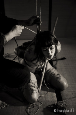 amaury-grisel-shibari:  @calamitystephsociopathe​