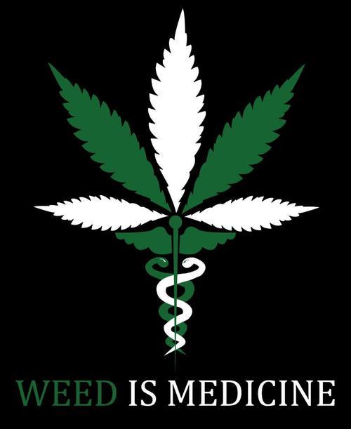 Into A Stoner's Mind!