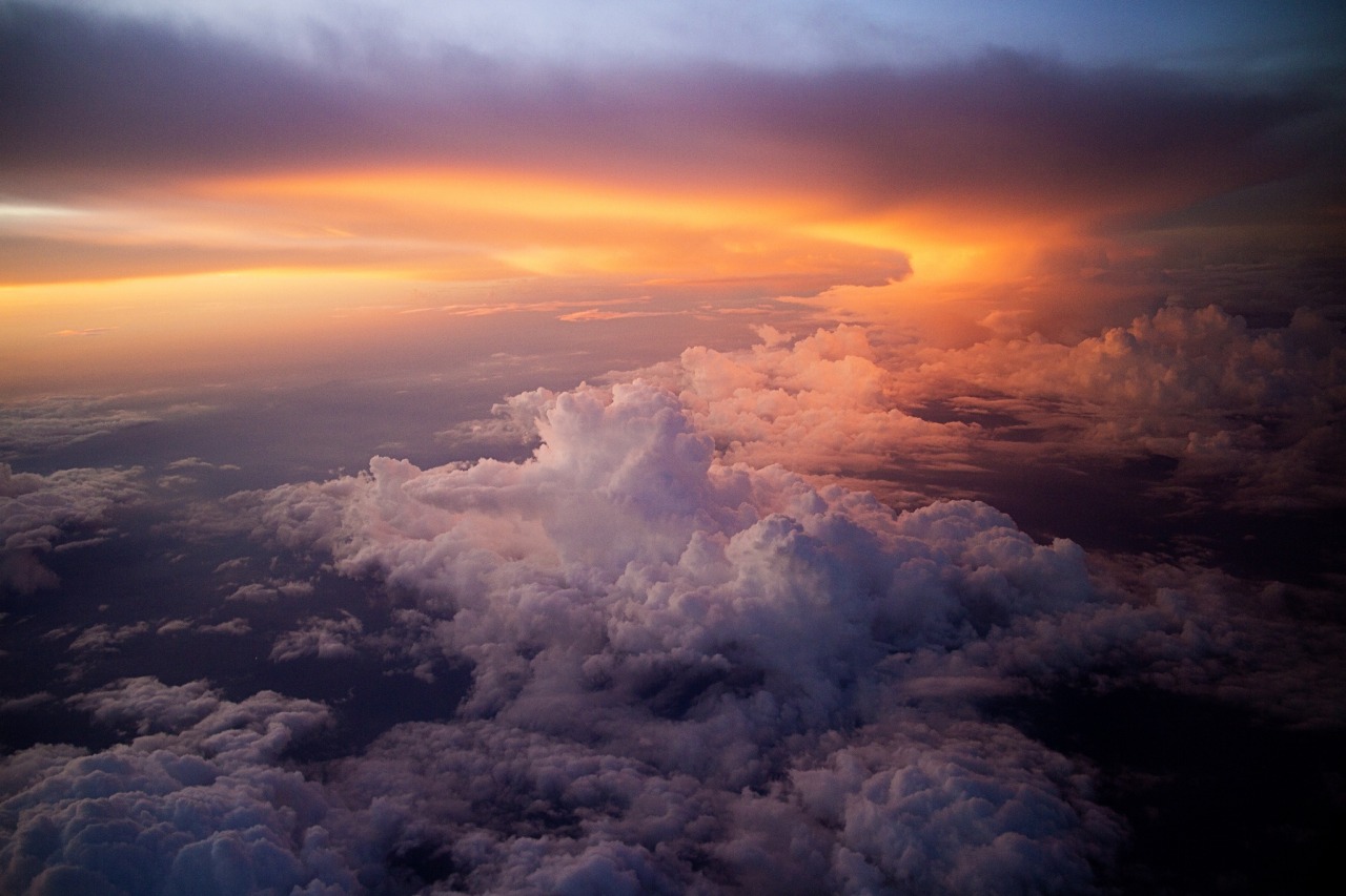 atraversso:Only from the heart can you touch the sky. from 500px &amp; flickr