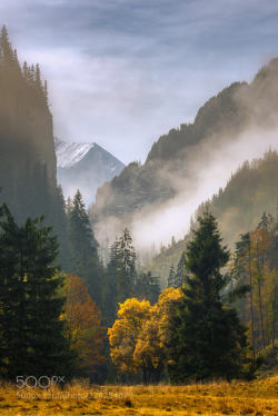 superbnature:Autumn Valley by mabart