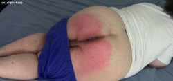 smldkphatass:Bad boys get spanked! My red ass after spanking with paddle. »» smldkphatass »»  Home | Archive | About | Follow