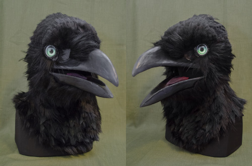 A pair of commissioned crow masks! Green belongs to @beakybirds on twitter, brown belongs to @paleo_