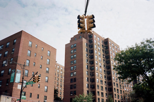 Views from the 718Fort Greene, NYKodak Portra 160