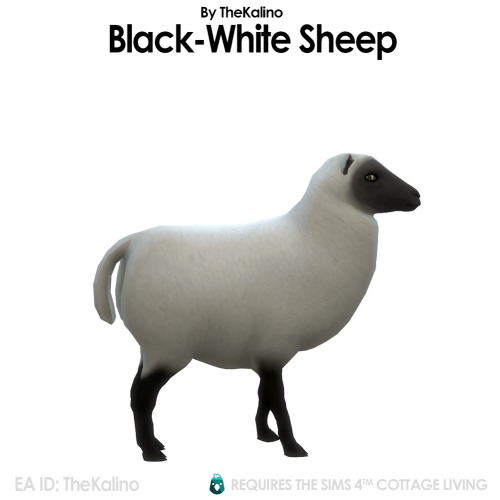 The Sheeps! They are now available!Always keep your Farm Animals up-to-date!FarmAnimals: sim