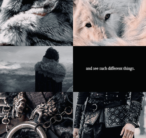 ibuzoo: ASOIAF Meme: @lo-ireese vs. @ibuzoo [5/6] Quotes