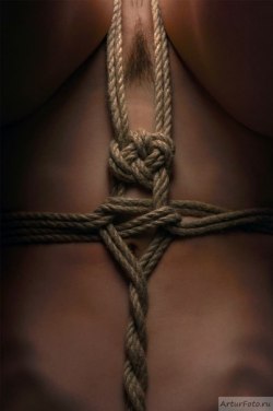 Art of Shibari