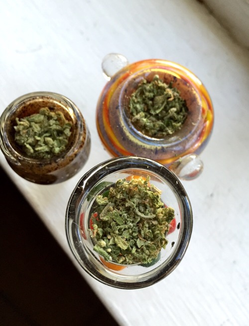 XXX blow-dro-getweird:  Wake n bake bowls on photo