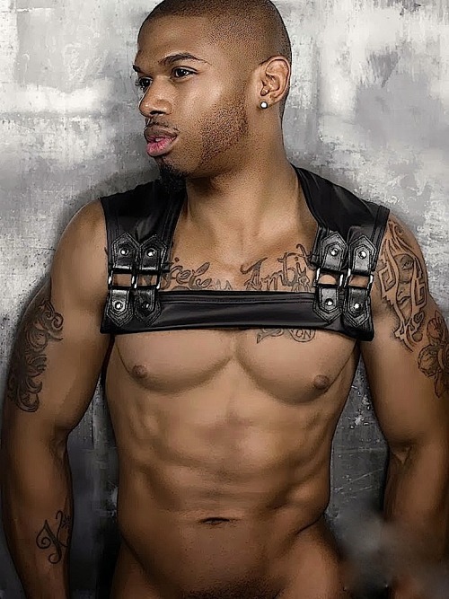 blkmilk:  #HARNESS