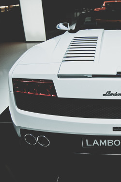 worldfam0us:  Lamborghini LP506-4 Spyder | WF