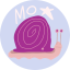 molluskmo