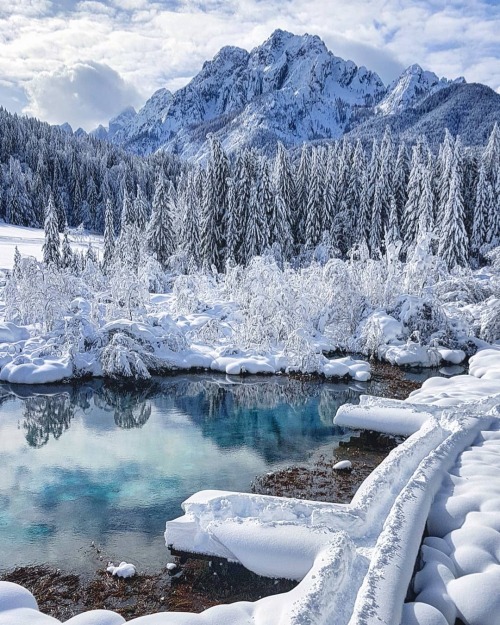 LAKE ZELENCI, Slovenia - this beautiful emerald-green lake in the Zelenci Nature Reserve, near the v