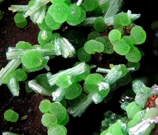 mineralists:  Conichalcite with Olivenite Lavrion, Greece 
