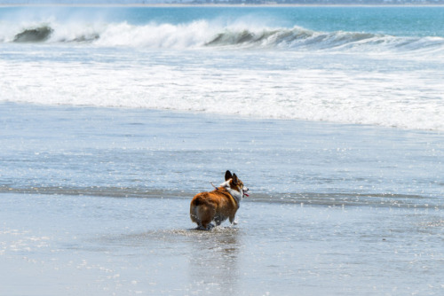 I love da beach! I got to spend all afternoon there yesterday and am now so tired I’m sleeping