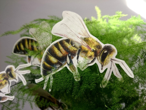 Paper Bee Sticker