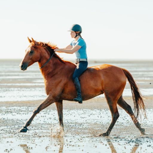 bridle-less:  Milo is weird  Horsey kisses lmfao