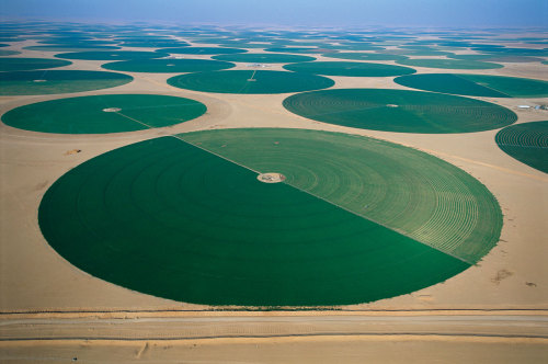 misterflaneur:Desert agriculture in Saudi Arabia.