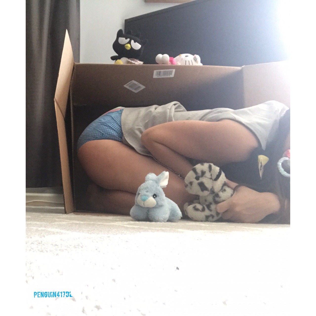 penguin417dl:  I found a box! 