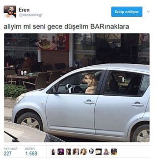 - alıyım mı seni gece...