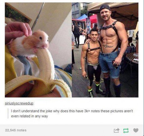 meme4u:  you’re innocent