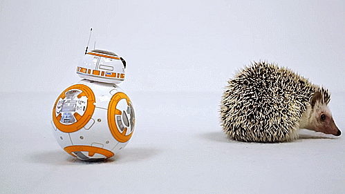elyzahere:  thewightknight:  BB-8 and the Spiky Friend     @e-vay 