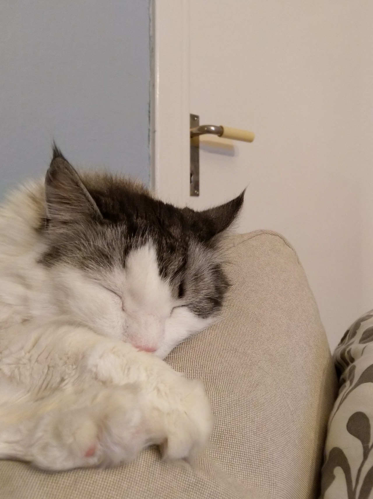 So, Hard day at home I presume?
