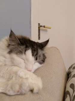 So, Hard day at home I presume?