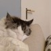 So, Hard day at home I presume?