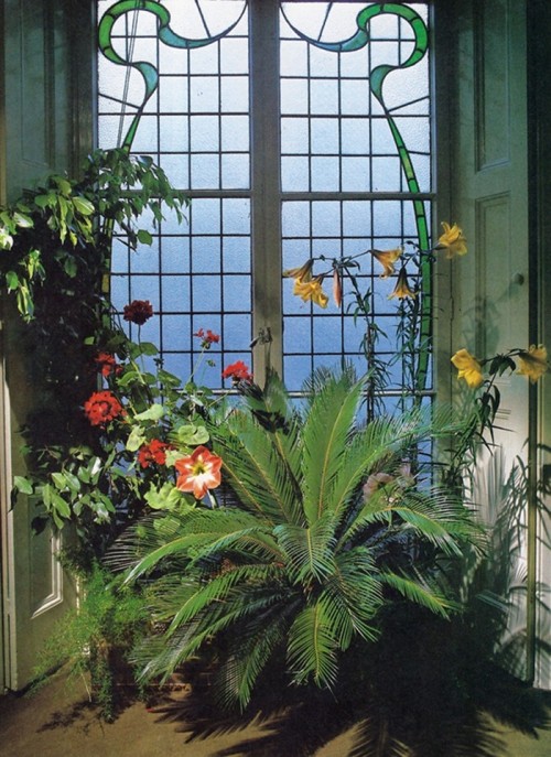 nyctaeus:  Success with House Plants, 1979 Courtesy of Reader’s Digest