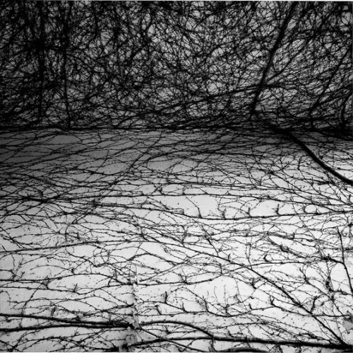 Graciela Iturbide: NaturataWhen Adam and Eve, on being expelled from Paradise, had to live on their 