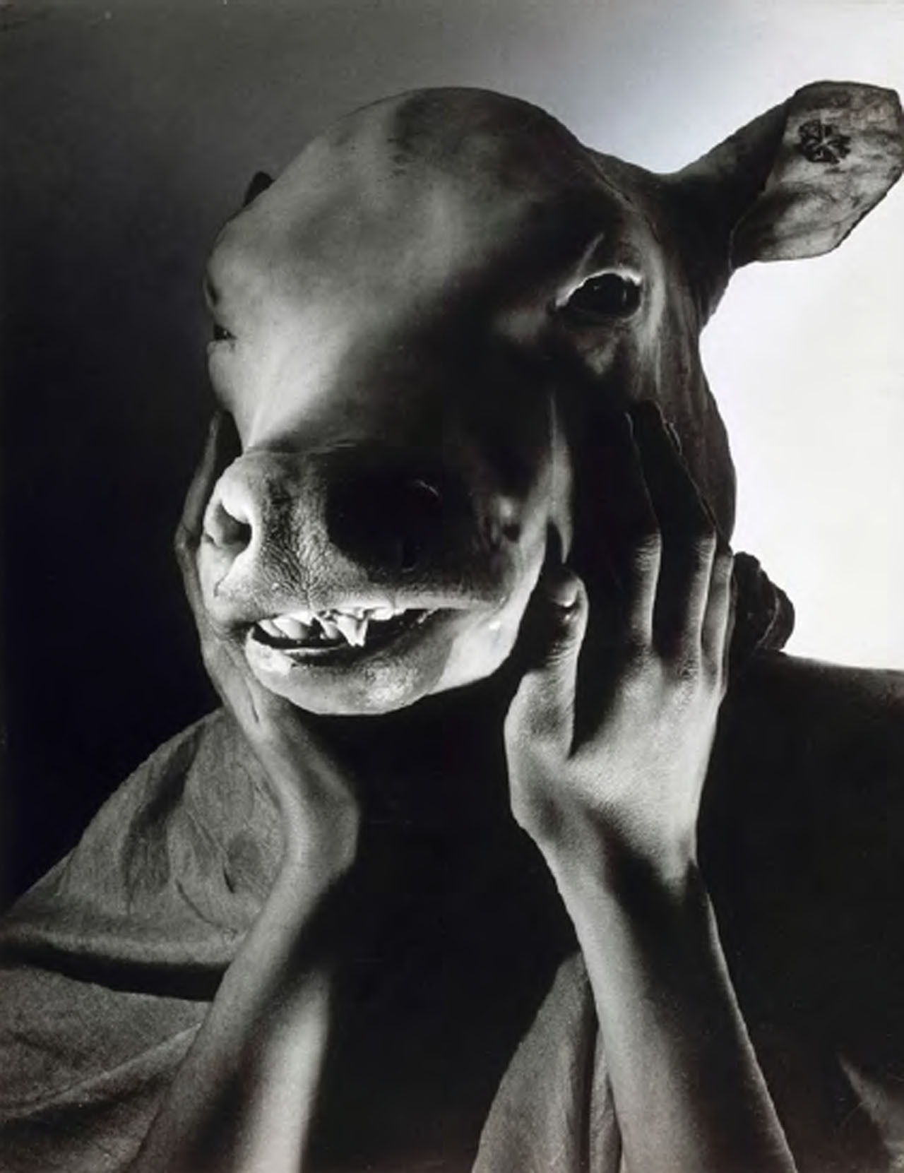 thephilosopheroftheboudoir:Georges Bataille by Erwin Blumenfeld