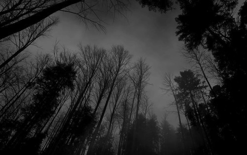 in-a-unknown-world-of-mine:  - 