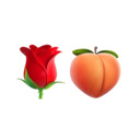rosebuttocks avatar