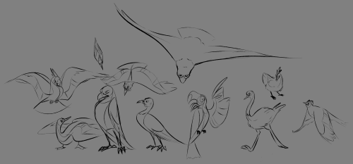 aviivix:some birds i doodled during a vyvanse crash