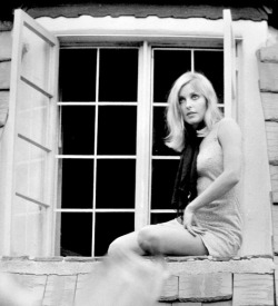 meganmonroes:Sharon Tate in the 1960s. 