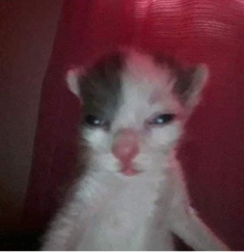 Me, A True Crime Fan, Watching Antonia From Reina Roja Touch With Her Bare Hands Possible Evidence And