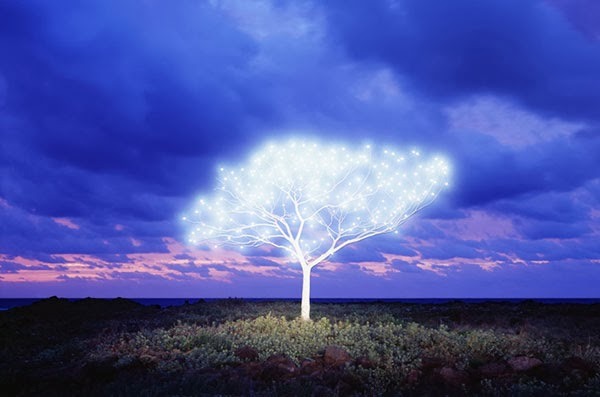 from89:   Tree of Life in Island by Lee Jeong Lok  You Can Also Find Me -: Skumar’s :- Twitter | Facebook | We
