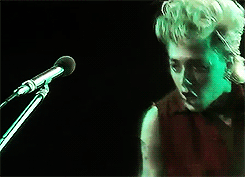 -Stray Cats-