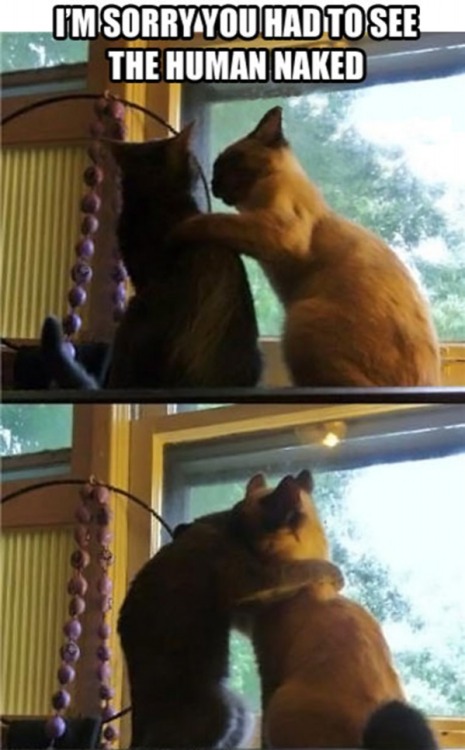 http://tacho92.tumblr.com/post/57582320685
