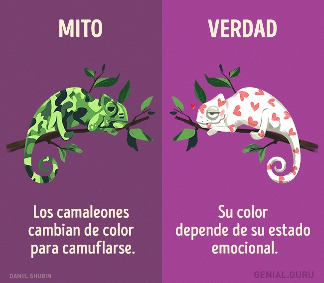 SUPER CACHONDEO