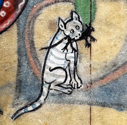 white cat, black mouse‘The Maastricht Hours’, Liège 14th centuryBritish Library, 