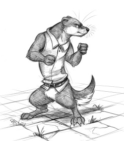 temiree:  Just a swoopy stoat looking for a fight~ :3 