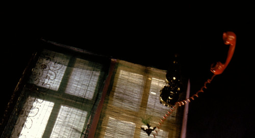 inthedarktrees:  Franka PotenteRun Lola Run | 1998