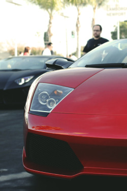 artoftheautomobile:  Lamborghini Murcielago