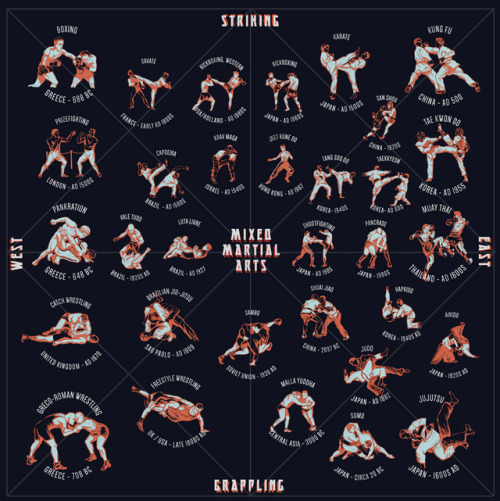 (via I’m An Illustrator And A Huge MMA Fan. I Combined My Interests And Made This Style Guide. [Image/GIF]