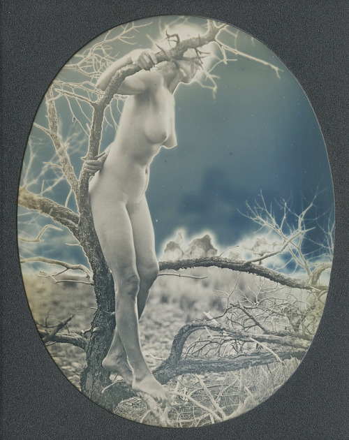 Daguerreotype by Robert Shlaer, 2004 